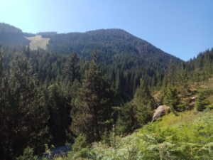 Pirin Mountains Bansko summer