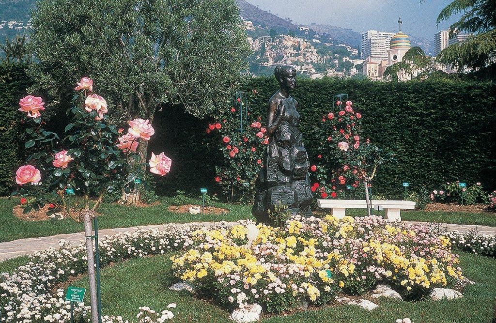 Princess Grace Rose Garden